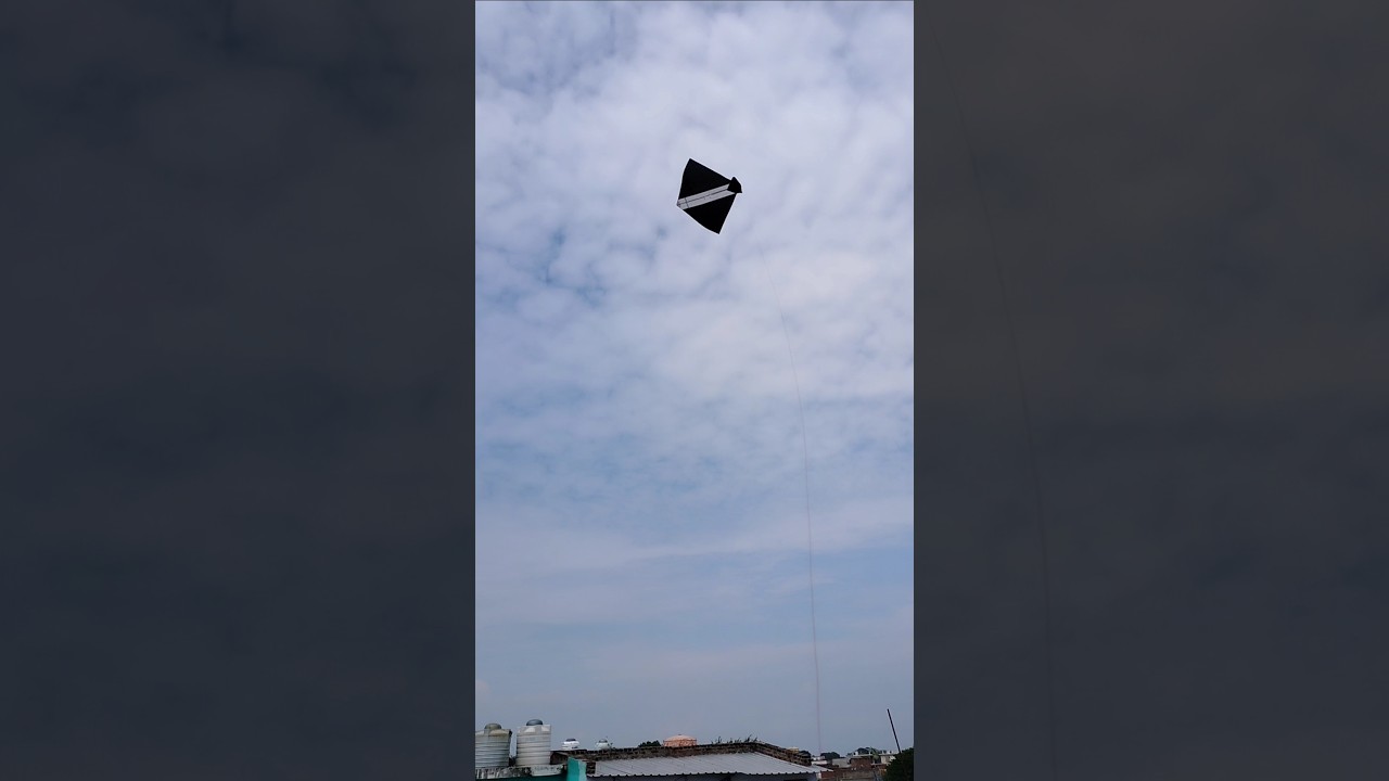 Black alpha kite looting 😨।। #shorts #Kitelooting #kite #patang #patangwala #looting