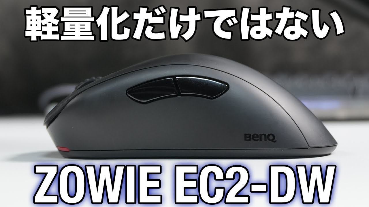 THE王道エルゴ、迷ったらこれ/ZOWIE EC2-DW