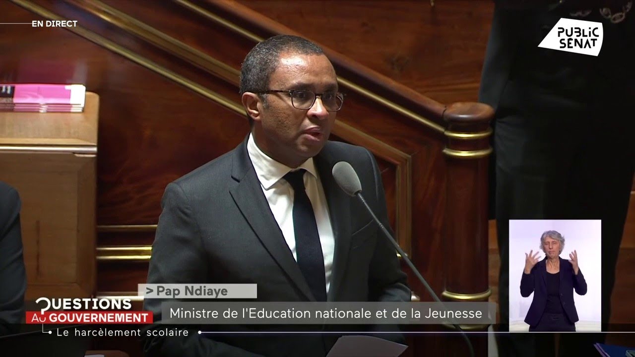 Harcèlement scolaire : Les larmes de Pap Ndiaye au Sénat