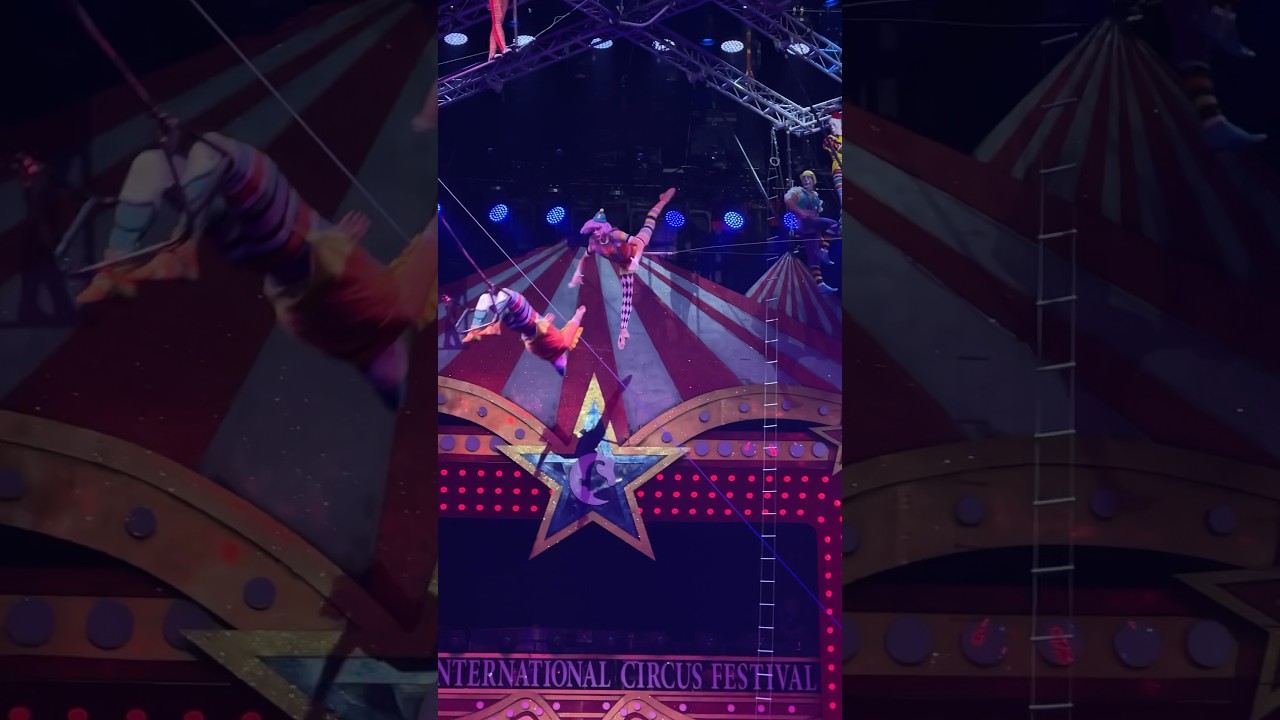 Flying Trapeze😍 #circus #split #shorts #flyingtrapeze #clown #extreme #beautiful #gymnast #aerial ￼