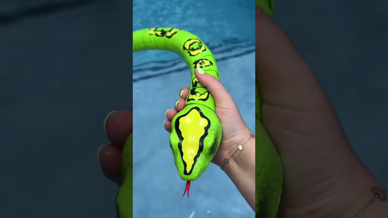 &iexcl;Compra innecesaria en Amazon! 🐍 Enlace en los comentarios. #serpiente #serpientes #robots #amazo...