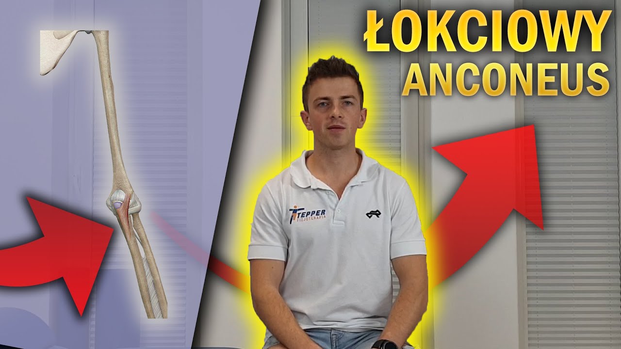 MIĘSIEŃ ŁOKCIOWY | ANCONEUS | ANATOMIA DLA WSZYSTKICH #6