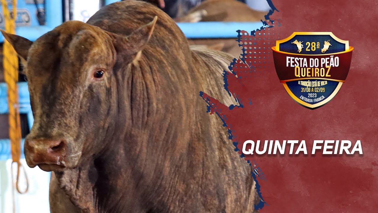 Rodeio de QUEIROZ 2023 (QUINTA / MELHORES MOMENTOS)