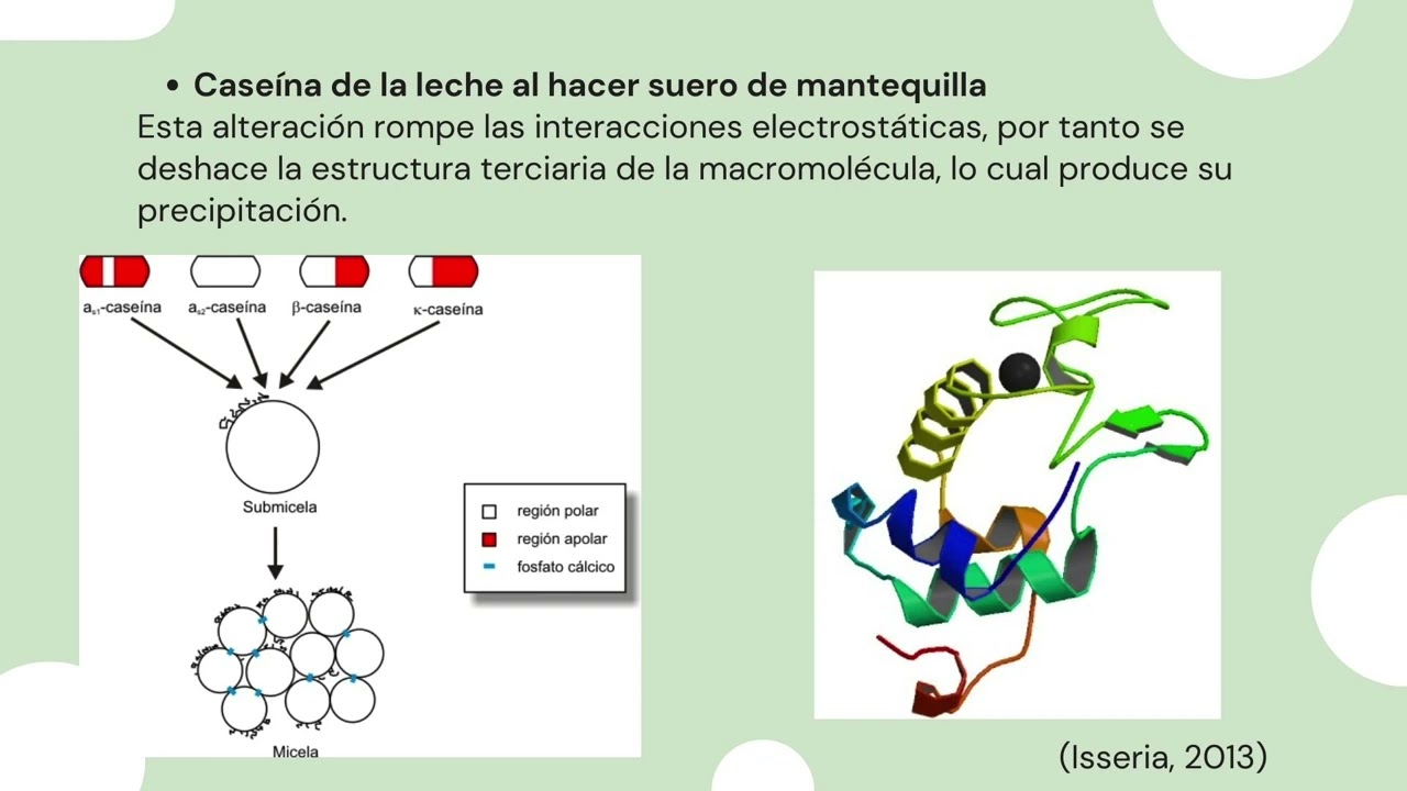 Desnaturalización de proteinas