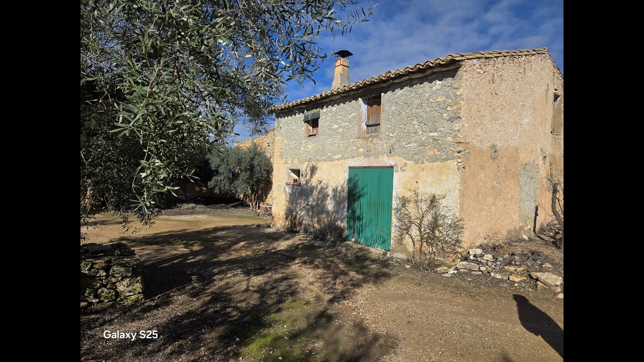 WhatsApp Video 2026 02 04 at 14 40 21