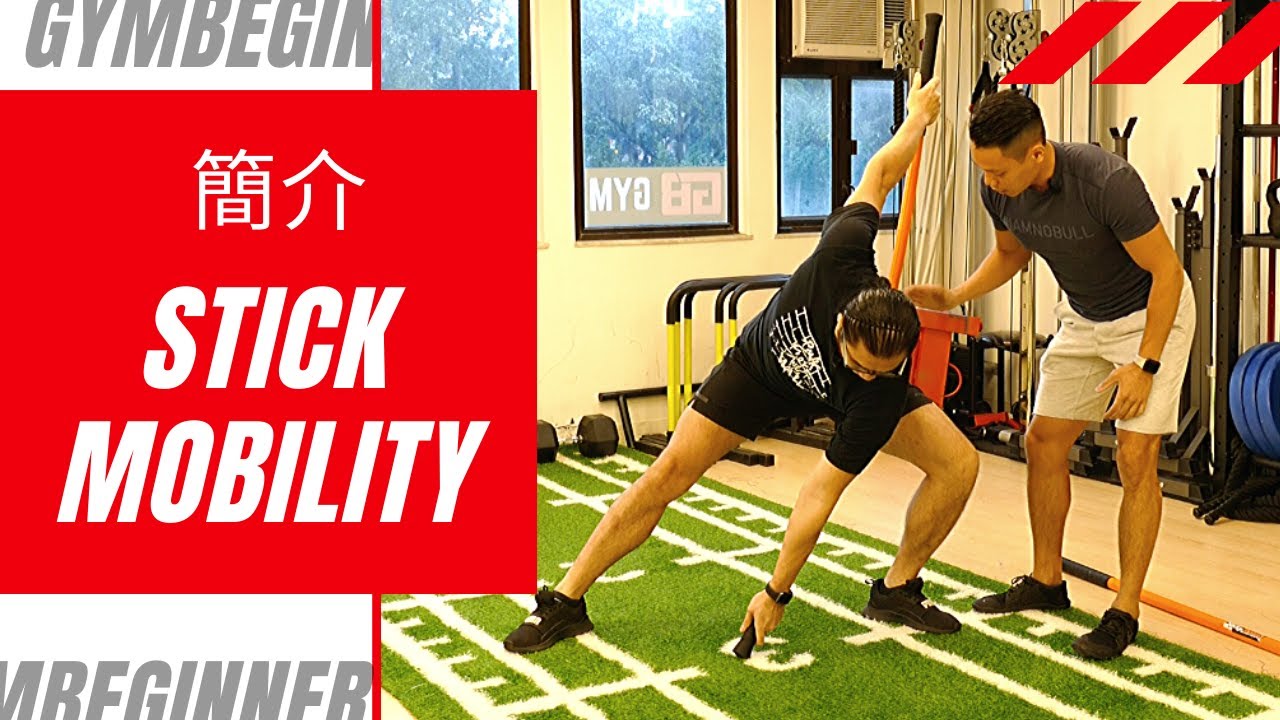 簡介Stick Mobility 2020