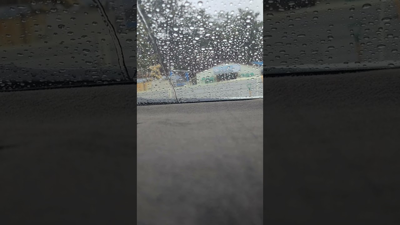 ☔️  비맞음서 주인님기다리는 마이 카 좋우다