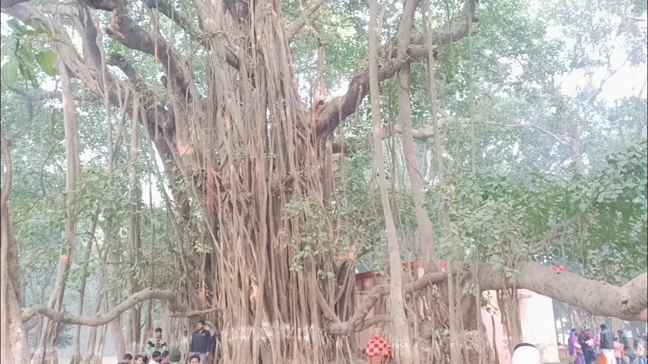 Chowk Bazar Sonali Mandir Aaj ham log picnic manae //bahut sari Bheed Hui aur sunari Mandir ke pass