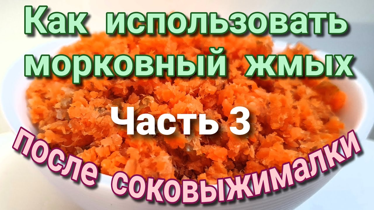 Что приготовить из морковного жмыха после соковыжималки? Идеи блюд со жмыхом Часть 3