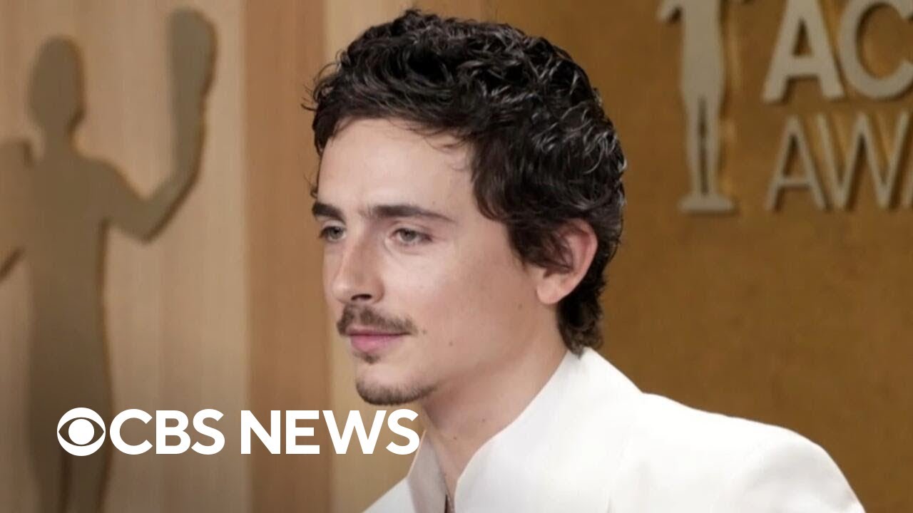 Could Timothée Chalamet's ballet, opera comments impact his Oscars chances?