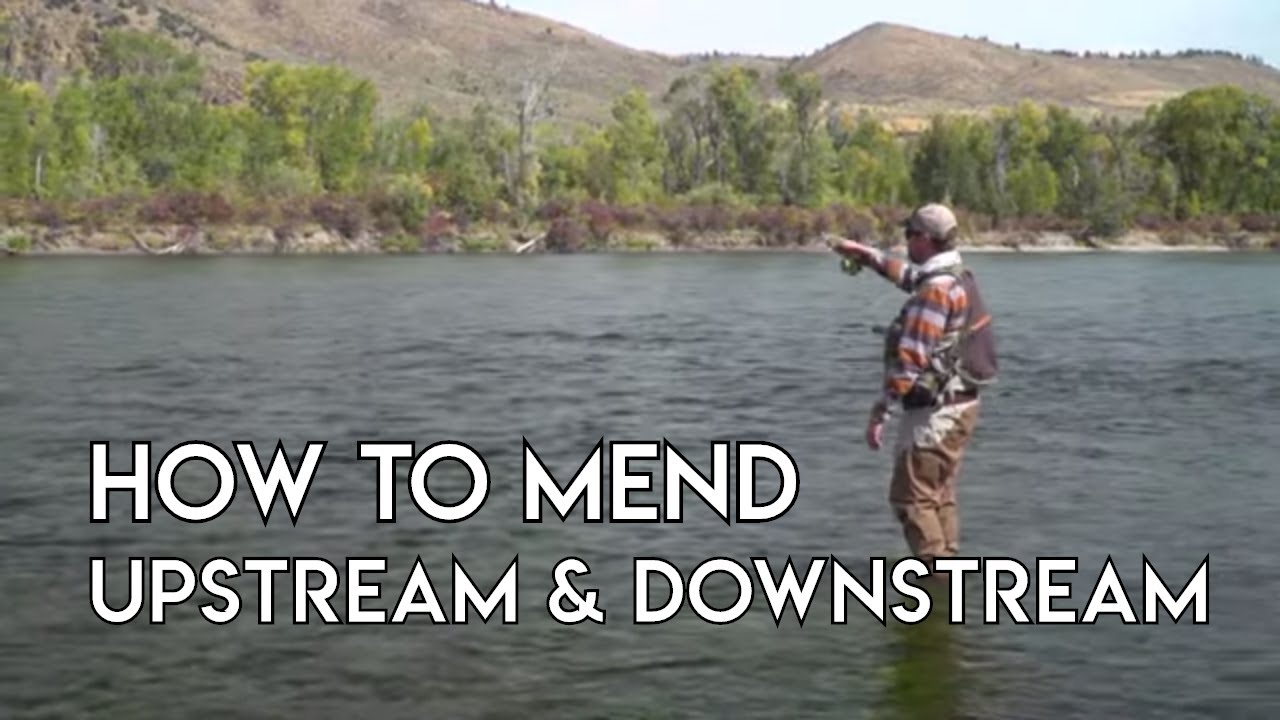 How To Mend Upstream & Downstream | Learn To Fly Fish