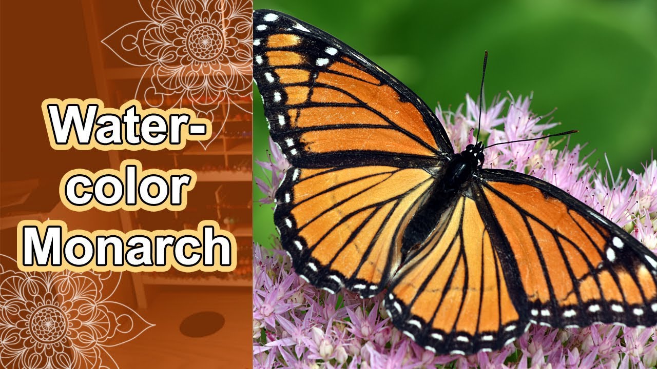Painting a Monarch butterfly with watercolors | Easy beginner tutorial | Timelapse