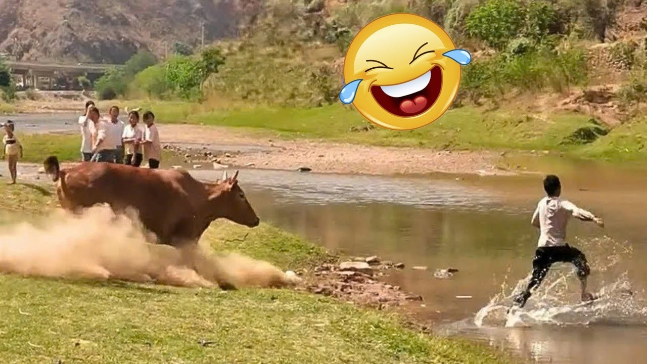 Best Funny Videos of the Month - Fails & Hilarious Moments 🤣🤣 TRY NOT TO LAUGH 2026😂 #9