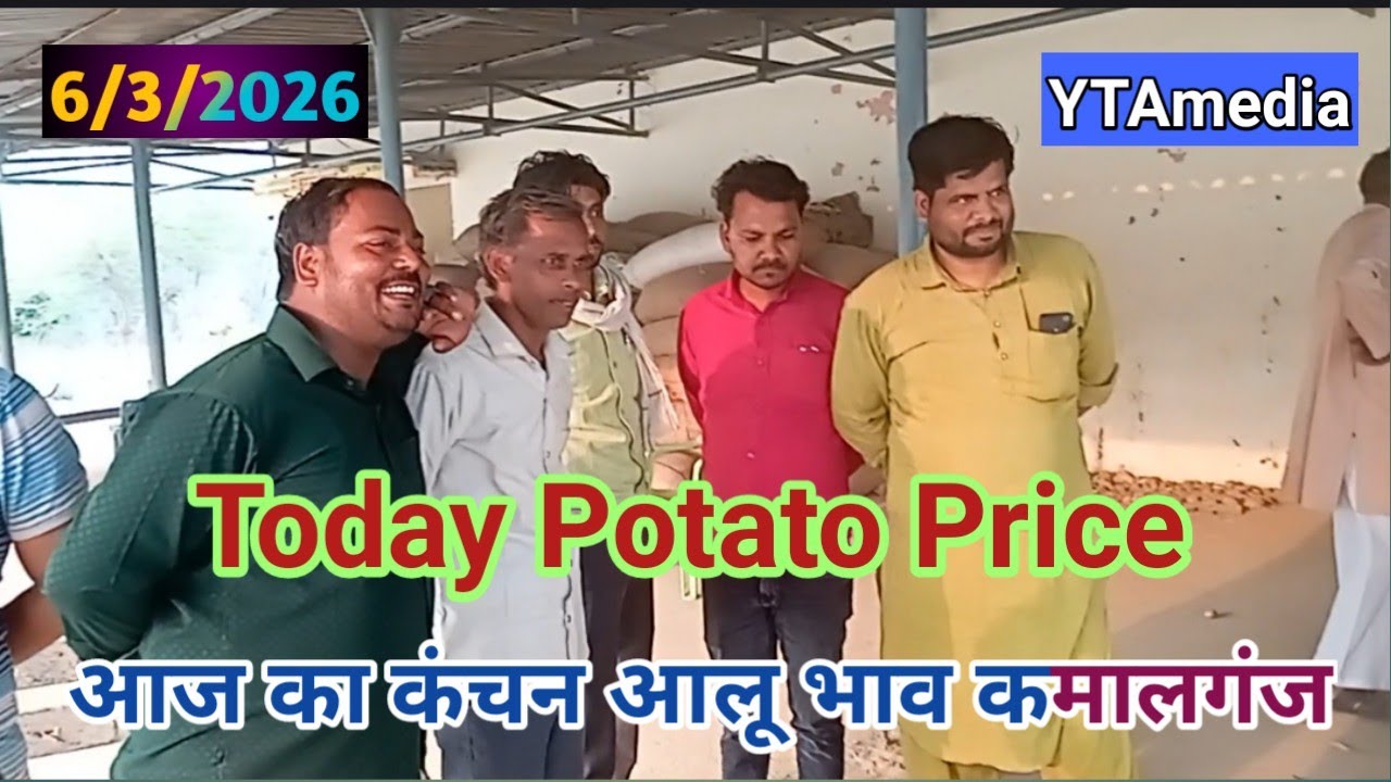 6 मार्च 2026 आज का आलू भाव | कमालगंज मंडी मे आज कंचन आलू भाव | Today potato price | ytamedia|