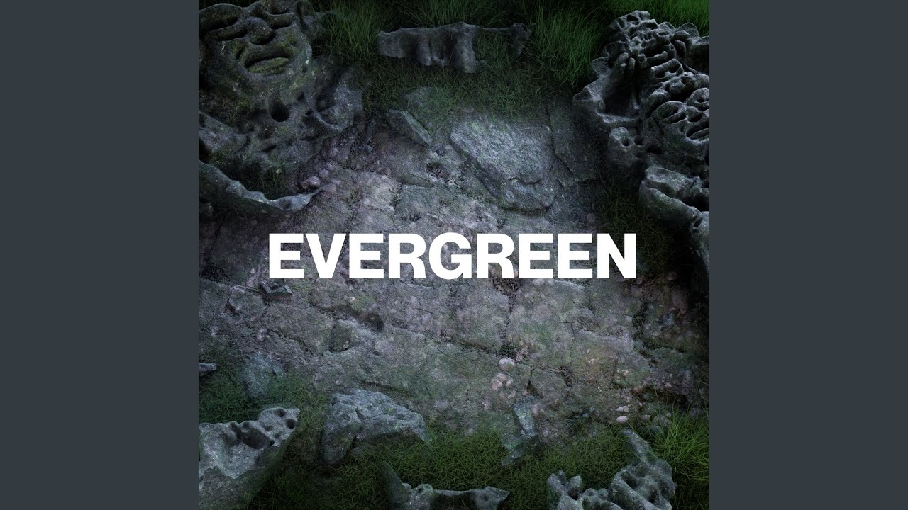 Evergreen