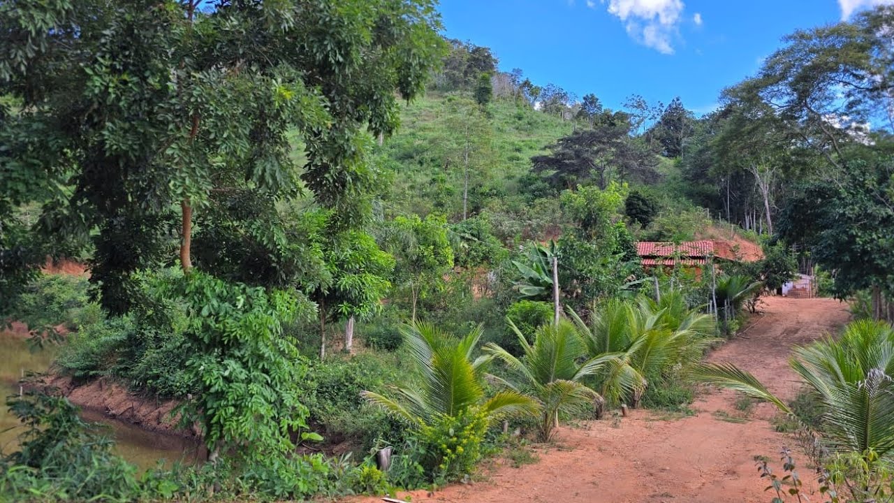 SÍTIO VITÓRIA POTE-MG VÍDEO COMPLETO