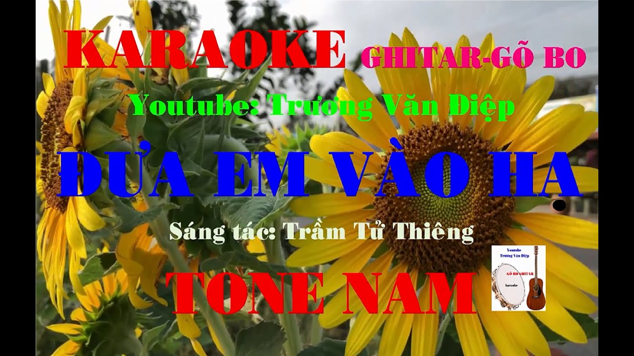 Karaoke Đưa Em Vào Hạ Tone Nam Gõ Bo | Trương Văn Điệp