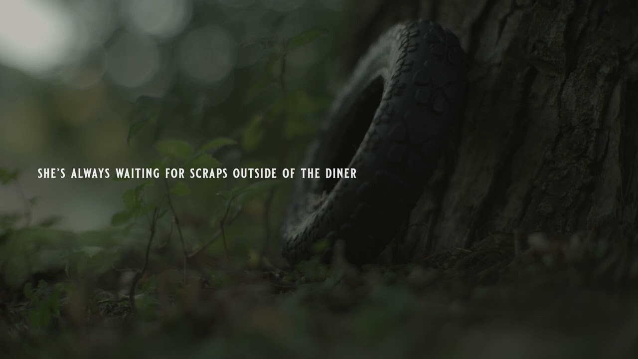 Ashley McBryde & Brandy Clark - If These Dogs Could Talk (Lyric Video)