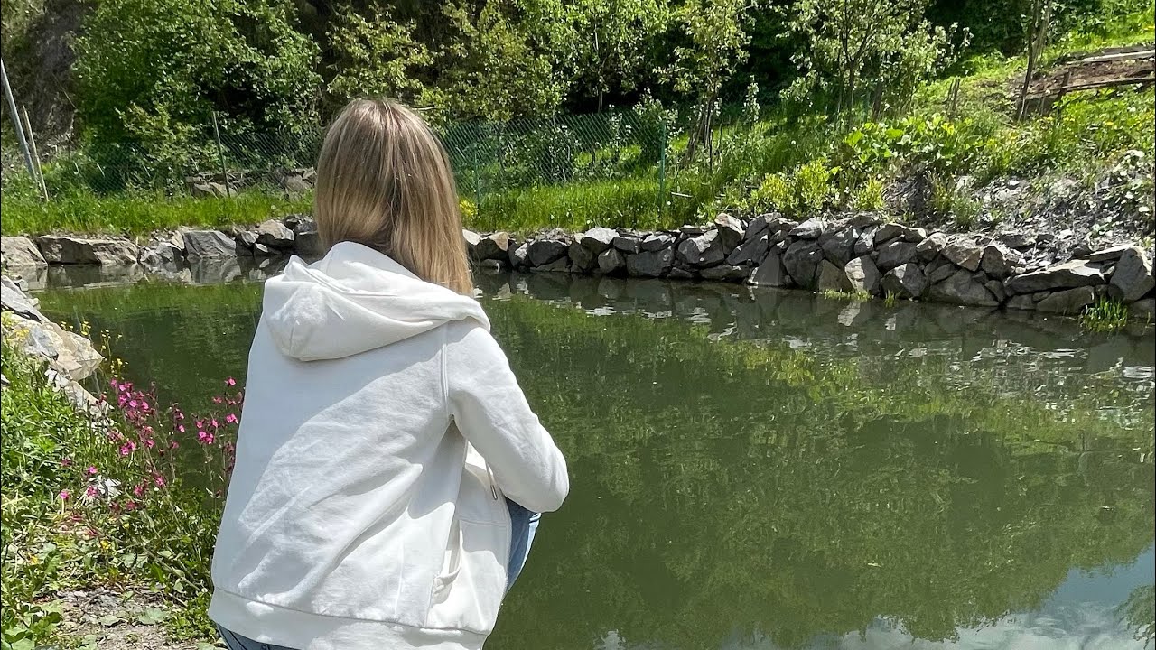 🐟