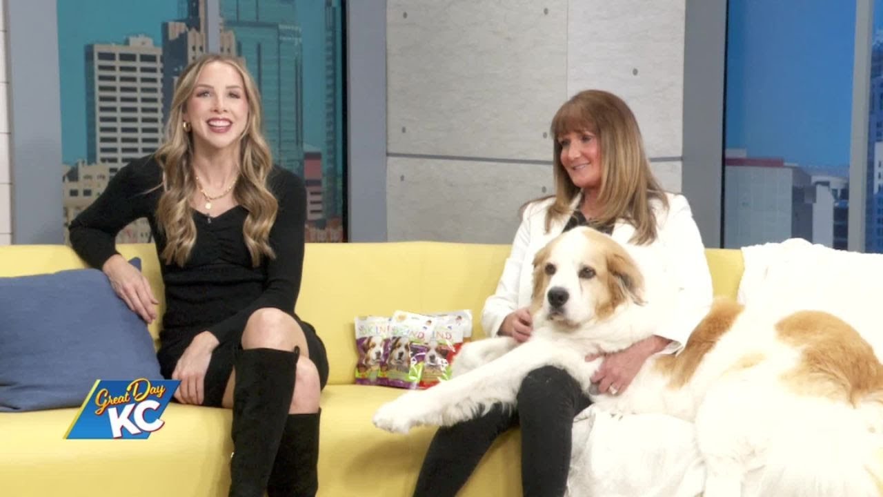 Carrie Interviews CEO of Paws And Pals, A Non-Profit Benefiting Animal Assisted Therapy for Kids