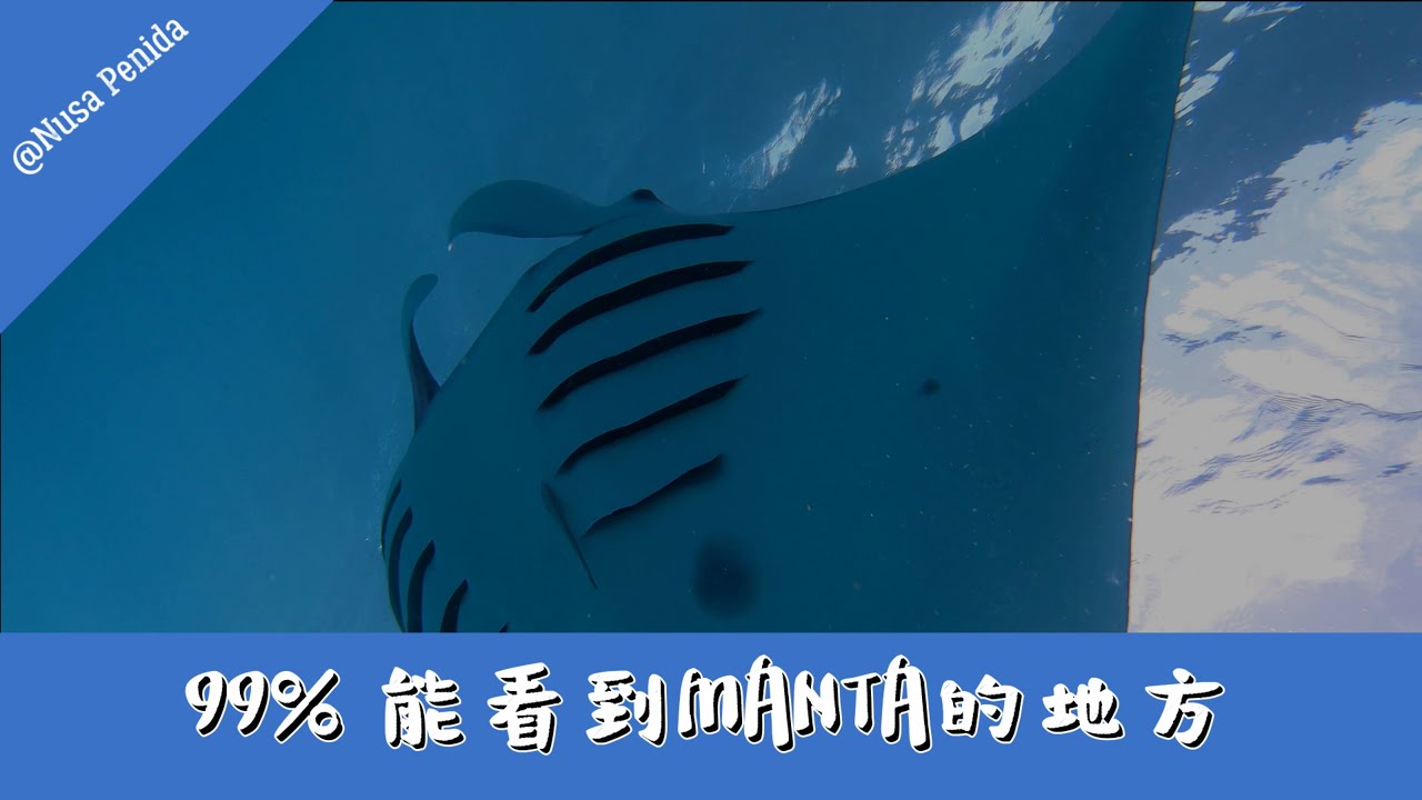 99% 能看到MANTA的地方 (關於Nusa Penida旅遊詳細資料請看文字描述)