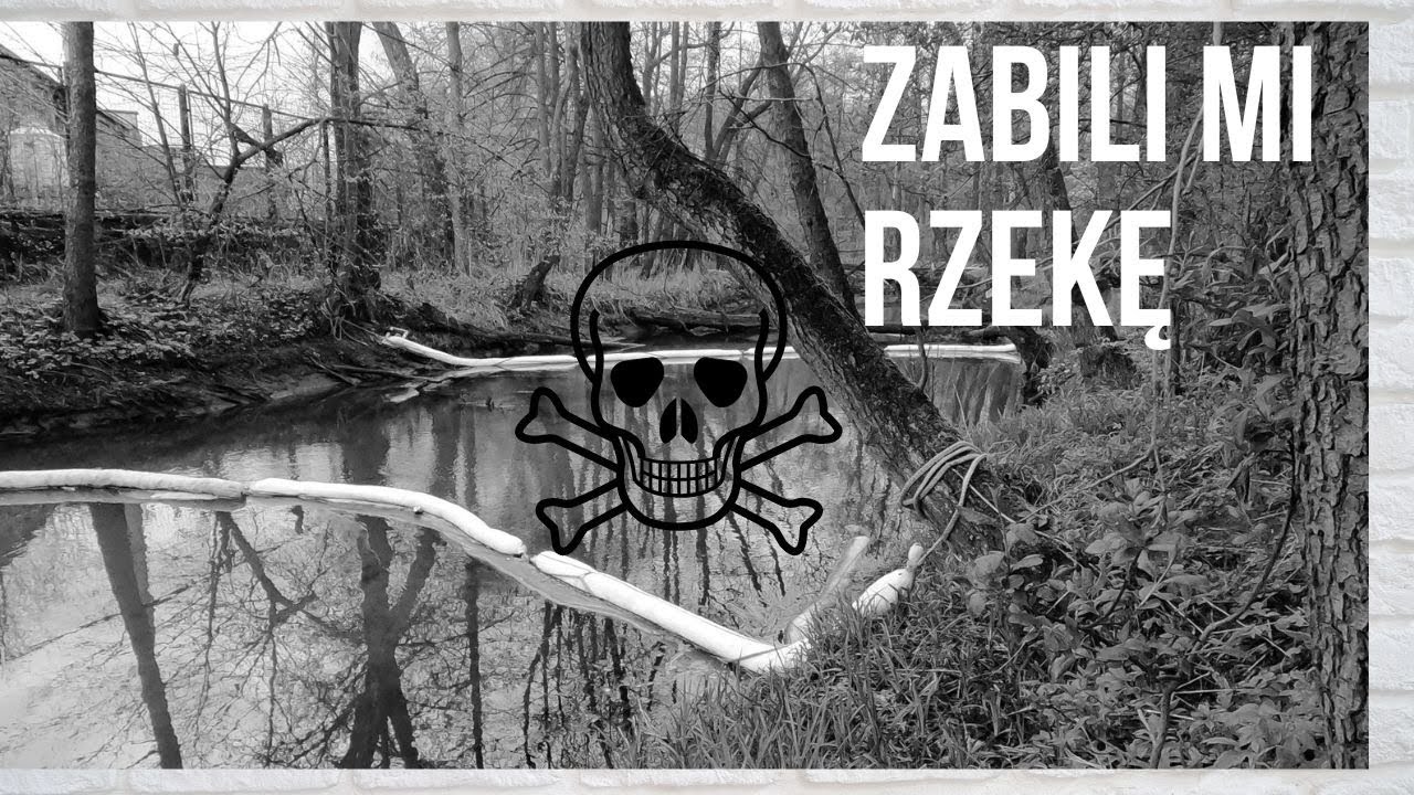 Kolejna rzeka zamordowana! - Biała Przemsza. #wędkarstwo #river