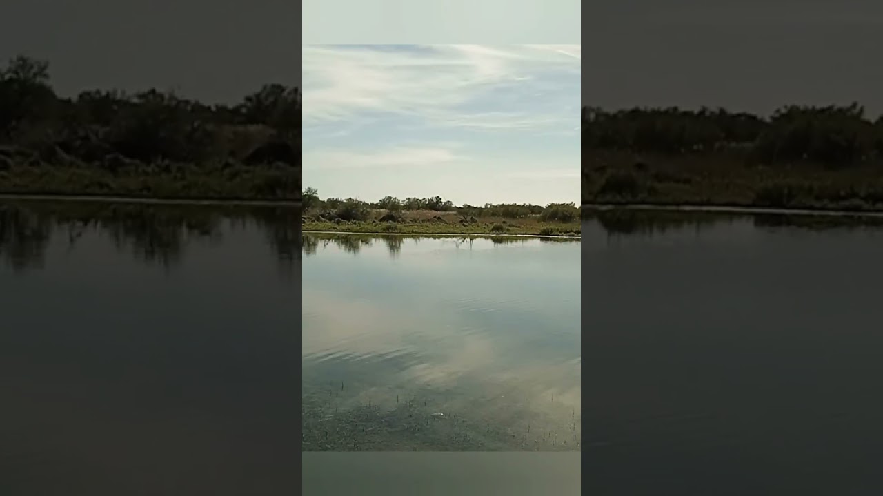 Tablas de Daimiel abril 2024