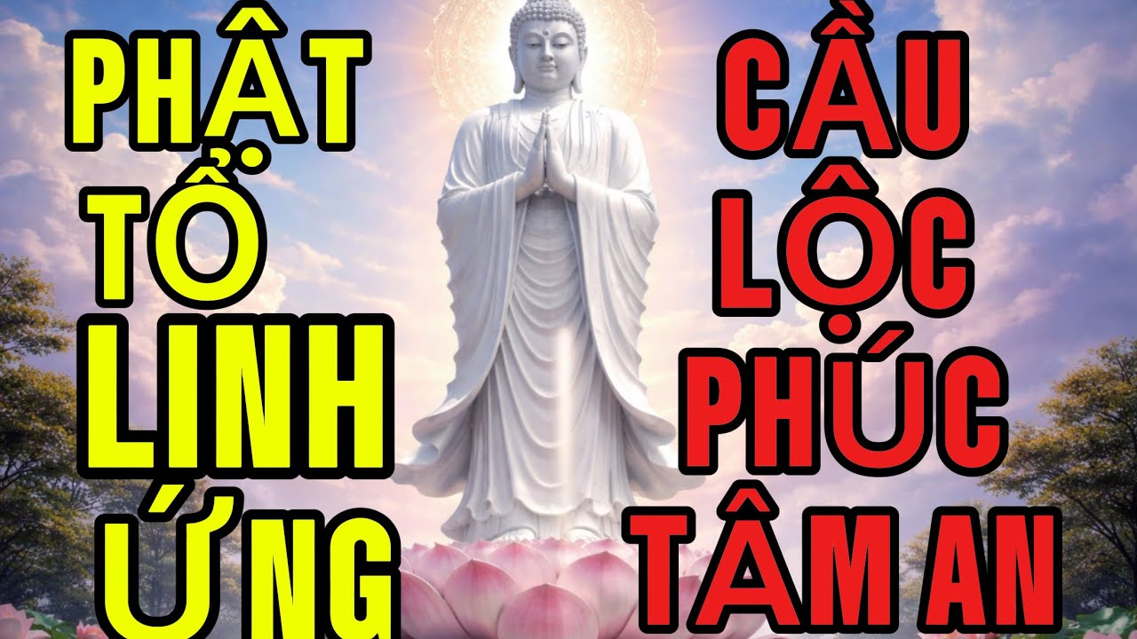 Niệm NAM MÔ QUANG THẾ ÂM BỒ TÁT Mồng 1 Đầu Tháng rất Linh Nghiệm Cầu Thân AN Tương Lai Rạng Ngời
