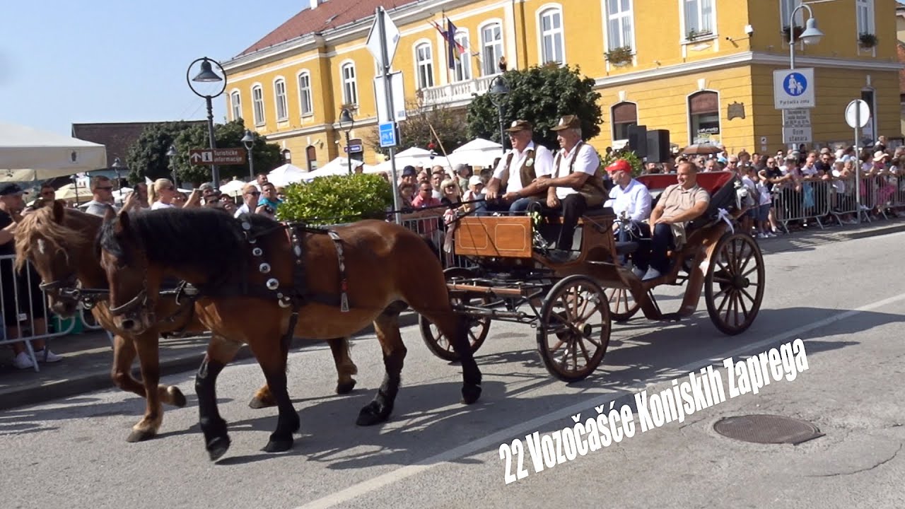 Marija bistrica konjske zapreke 2024