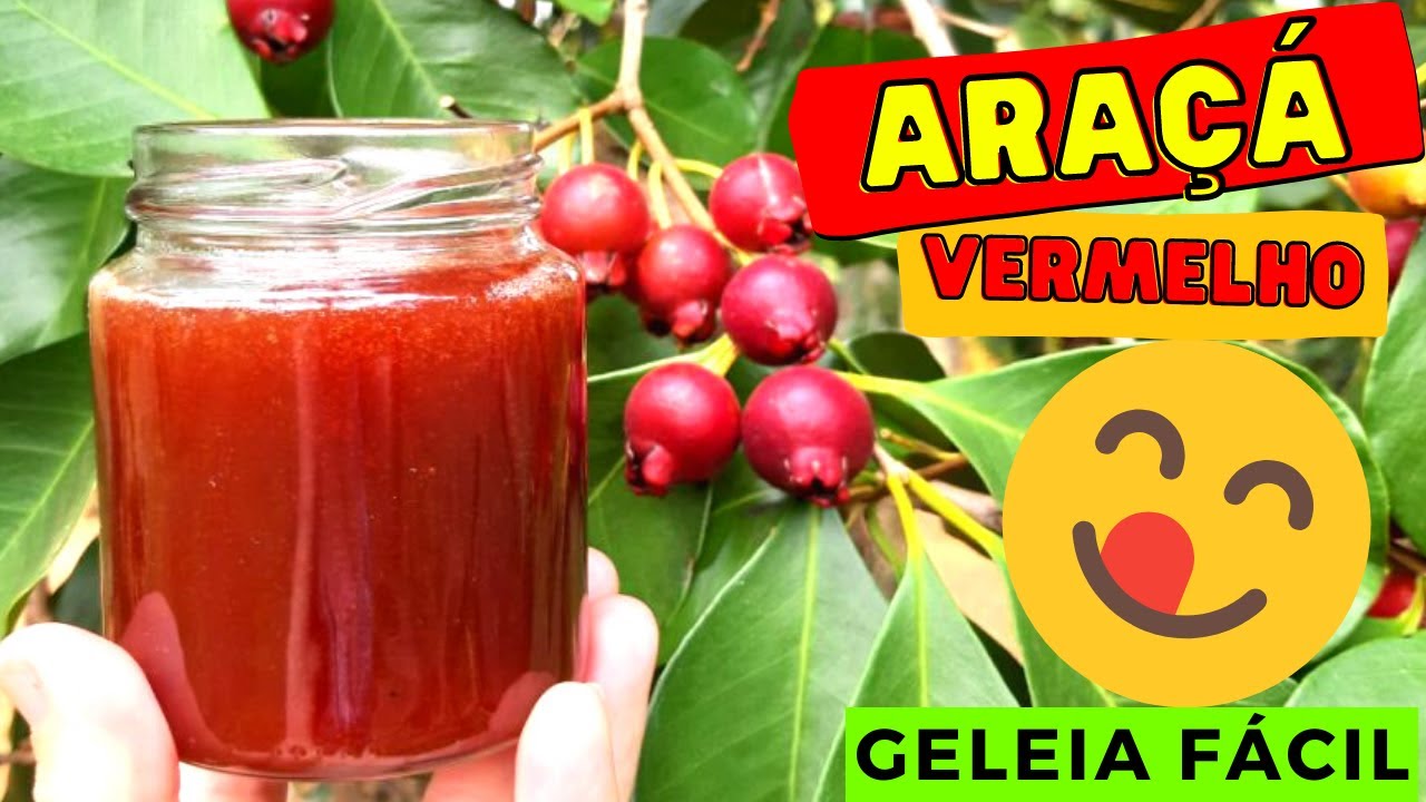 Como fazer Geleia de Araçá Vermelho só com as Cascas em 2022