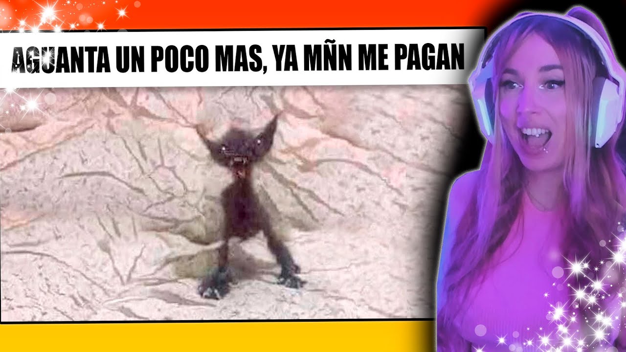 Reaccionando a los mejores MEMES RANDOM | LOS MEMES MAS GRACIOSOS  😂