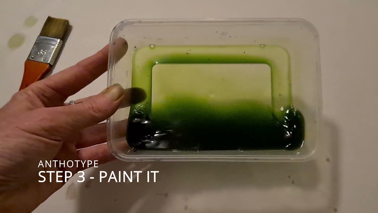 In the Wild Ink Lab - Anthotypes