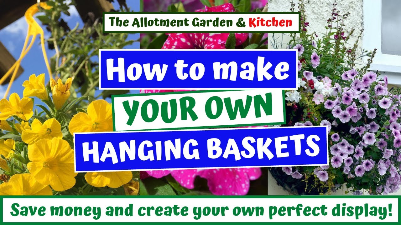 How to Make an AMAZING Hanging Basket - Provide a Beautiful Colourful Display Every Time #84