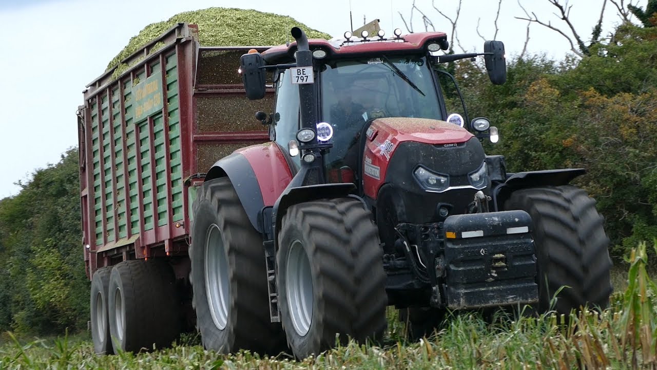 Case IH 300 Optum Working Hard in The Field During Corn Harvest | Häckseln 2018 | DK Agri