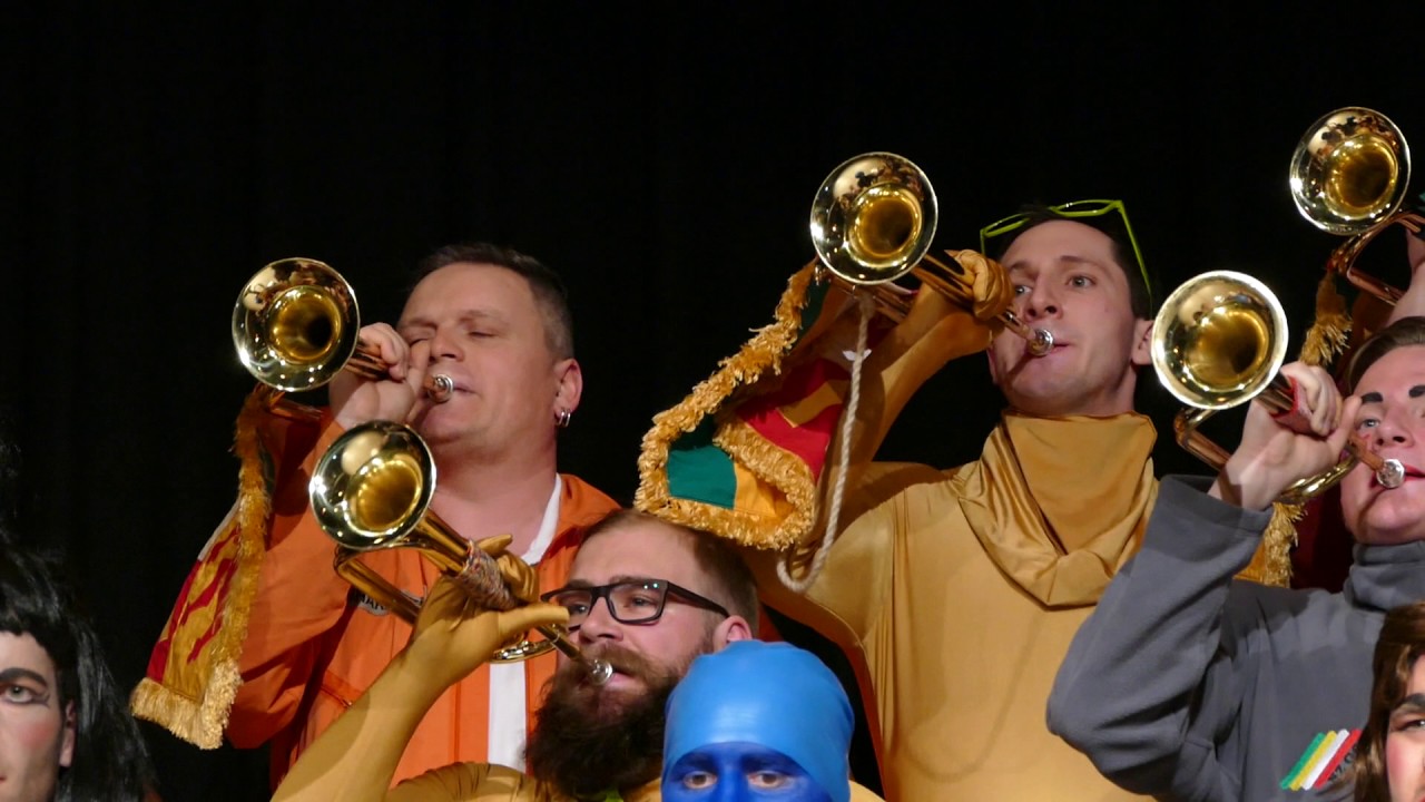 FZ beim Narrenball der Narrenzunft Gole Riedlingen 2017 1. Video