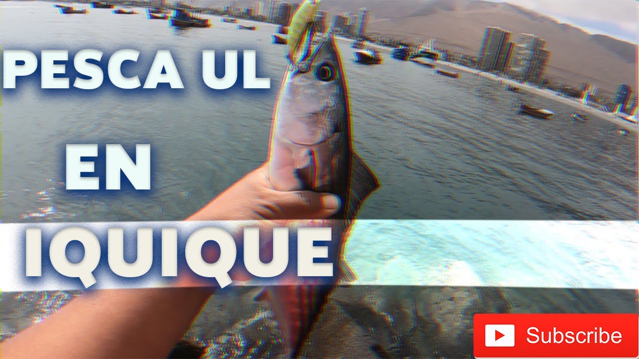 Pesca UL Parte 2 /Iquique