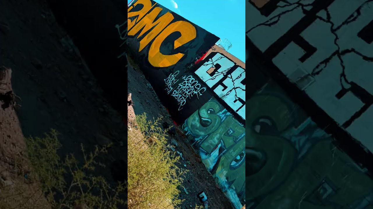 Sfv graff #foryourpage #graffiti #muralproject #graffitiart #streetart #graffreport #urbanart #art