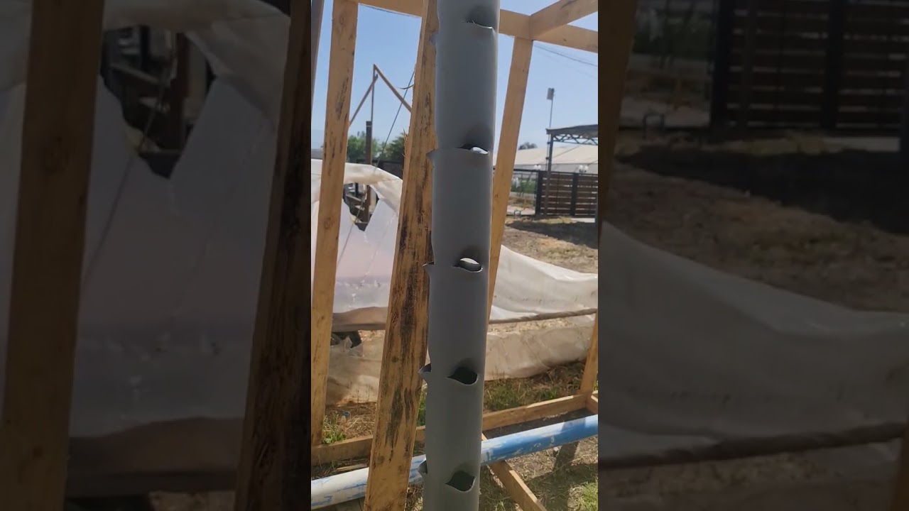 HIDROPONIA VERTICAL