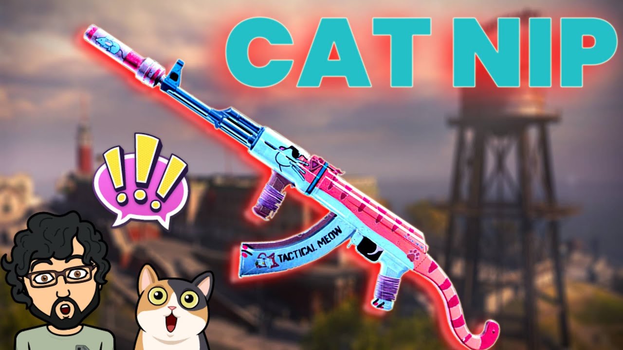 Cat Nip - Rebirth Island
