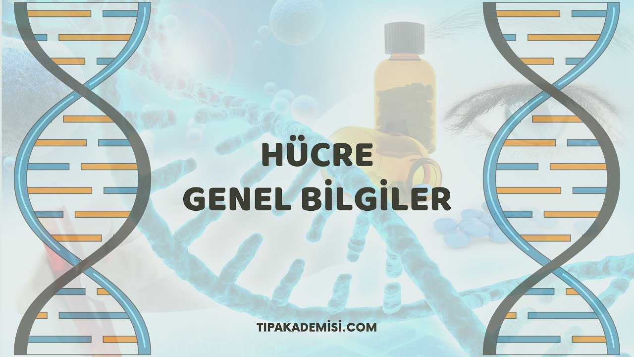 tipakademisi.com - Hücre / Genel Bilgiler