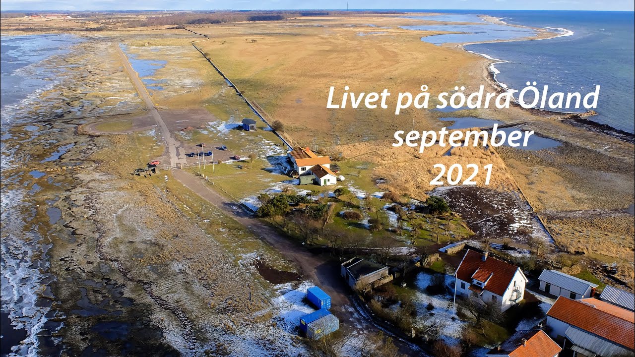 Livet på södra Öland, september 2021