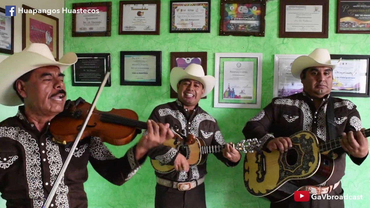 El Trío Los Hidalguenses toca 