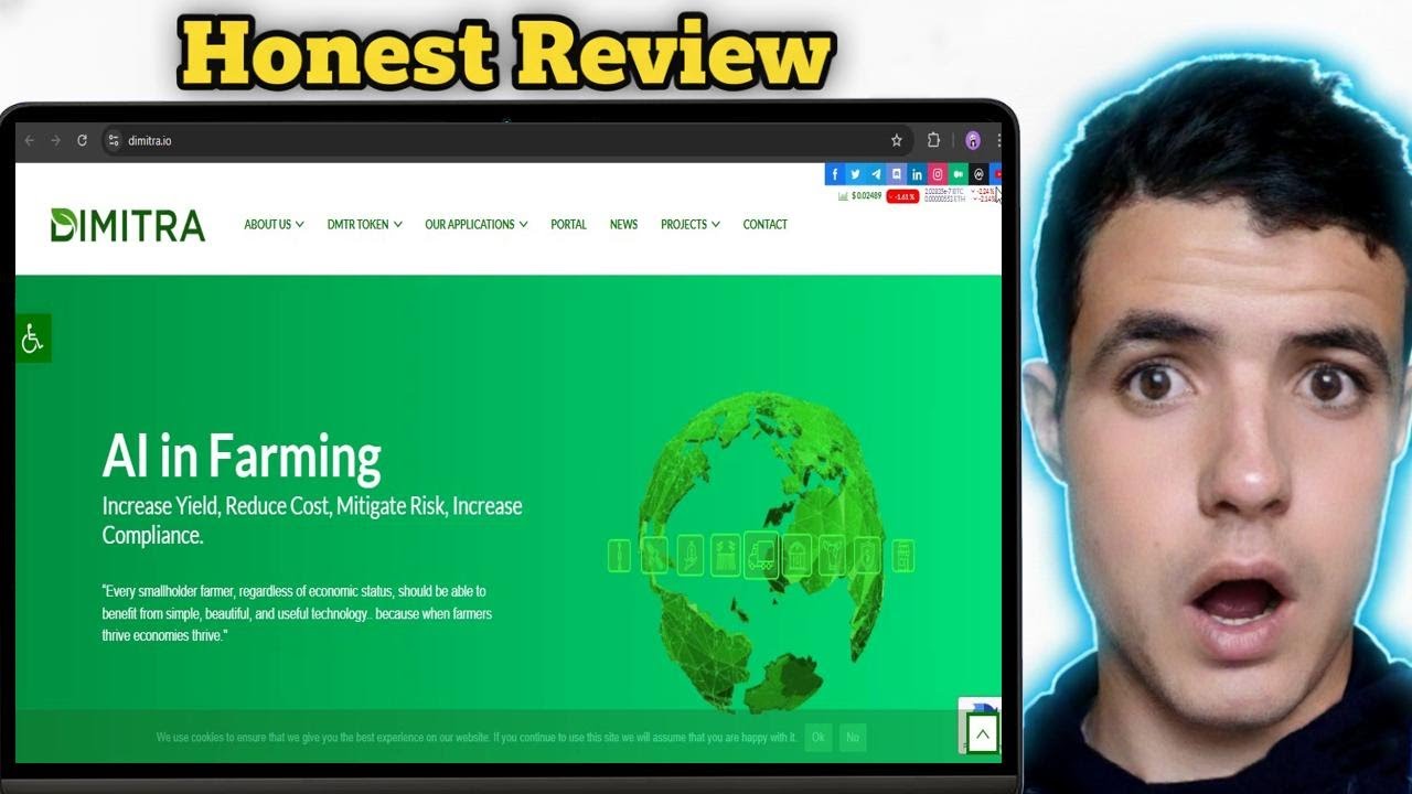 Recenzja tokena Dimitra DMTR Czy Dimitra Crypto to dobra inwestycja?