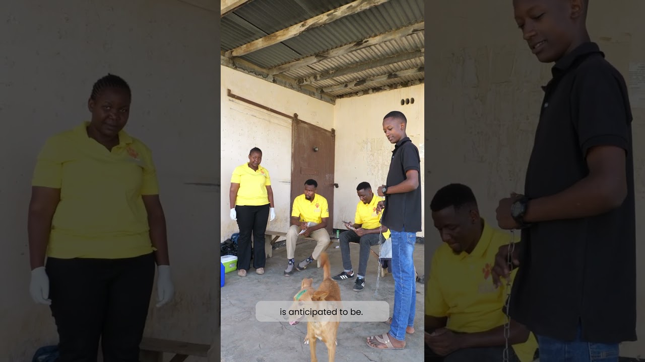 How to run a static point vaccination drive