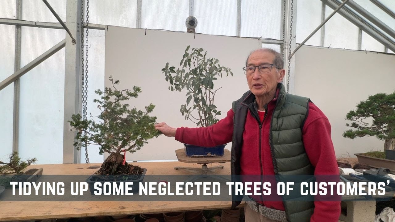 Tidying up Some Neglected Trees of Customers'