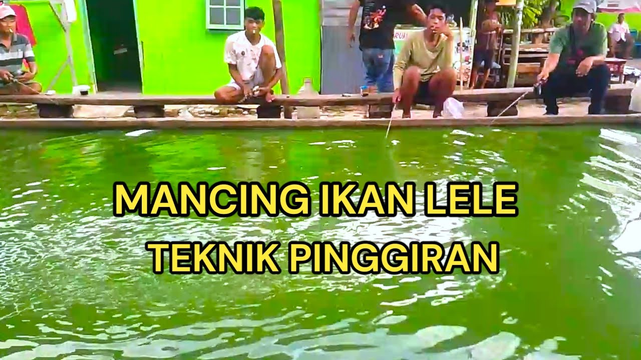 Mancing Ikan Lele Teknik Pinggiran hasilnya sungguh tak terduga