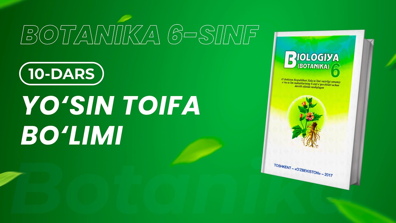 YO`SINTOIFA BO`LIMI (10-DARS)