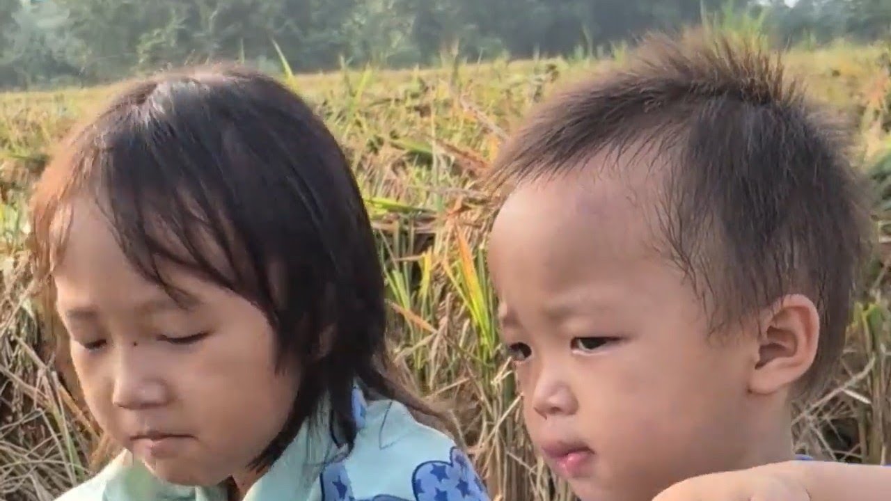 Simple Village Life 🌿 Work, Home Repair, and Cooking Vegetables