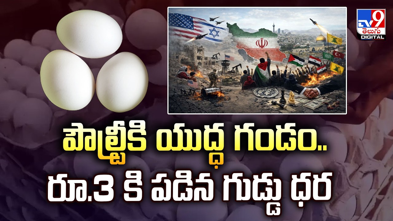 పౌల్ట్రీకి యుద్ధ గండం.. రూ.3 కి పడిన గుడ్డు ధర | Why Egg Prices are Falling Rapidly? -TV9