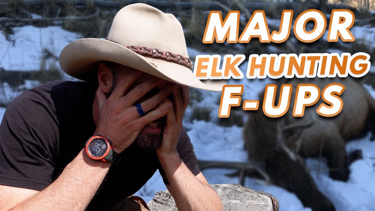 Два СЕРЬЕЗНЫХ НАРУШЕНИЯ ПРАВИЛ ОХОТЫ ДИЧИ, СОВЕРШЕННЫХ ЧЕСТНЫМИ ОХОТНИКАМИ НА ЛОСЯТ